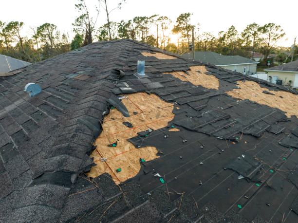 Best Roof Leak Repair  in West Carrollton, OH